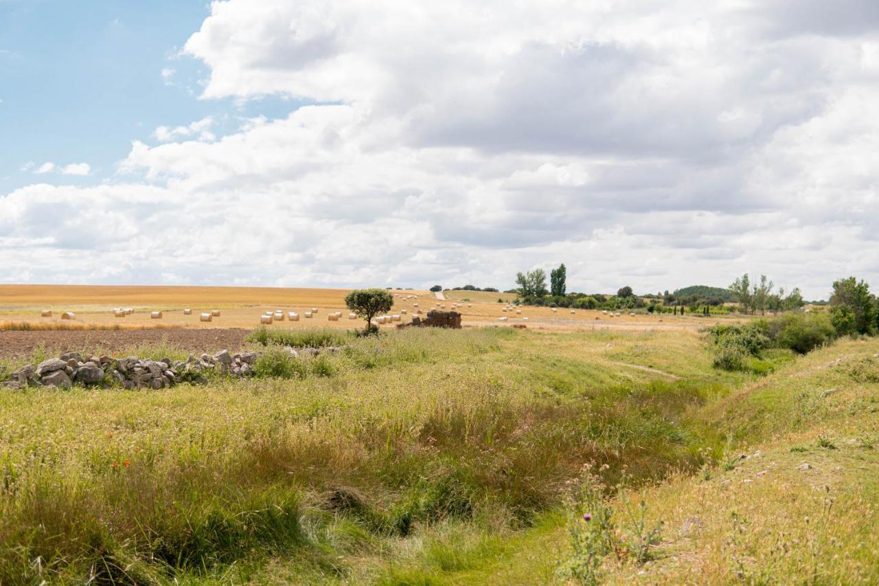 הוילה Santa Maria la Real de Nieva La Casa Del Buho מראה חיצוני תמונה